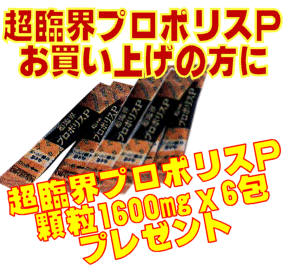 SSIプロポリス